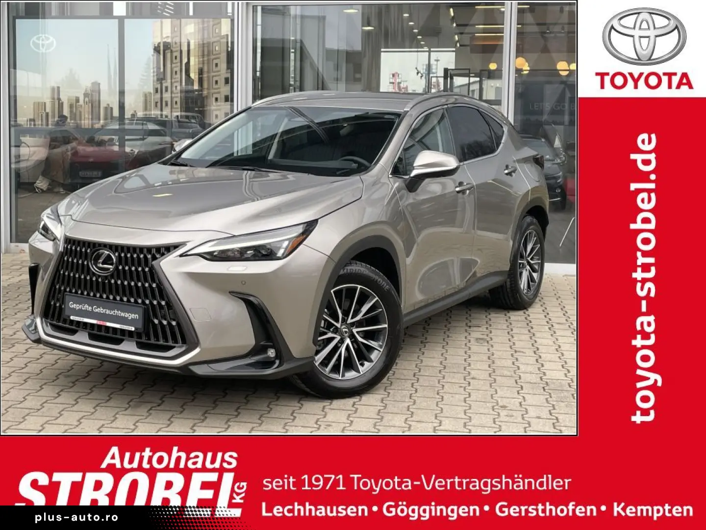 LEXUS NX 350h Executive Line inkl. WR 360  Kamera