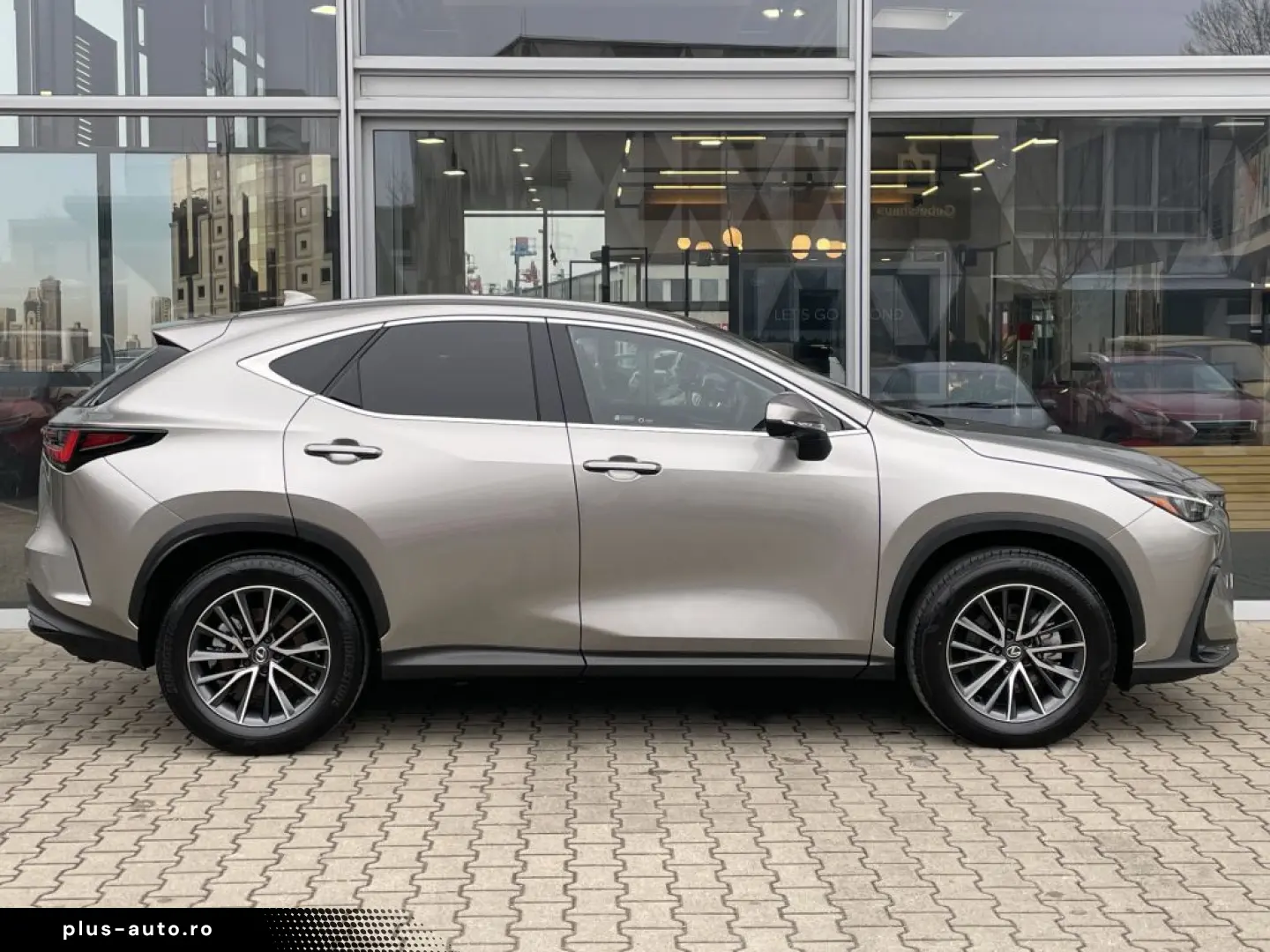 LEXUS NX 350h Executive Line inkl. WR 360  Kamera