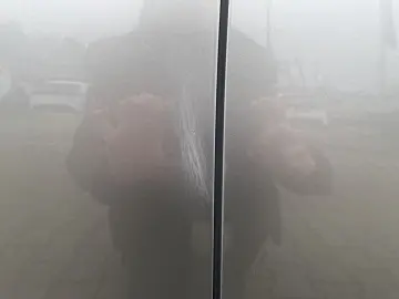 LEXUS NX 350h Executive Line inkl. WR 360  Kamera