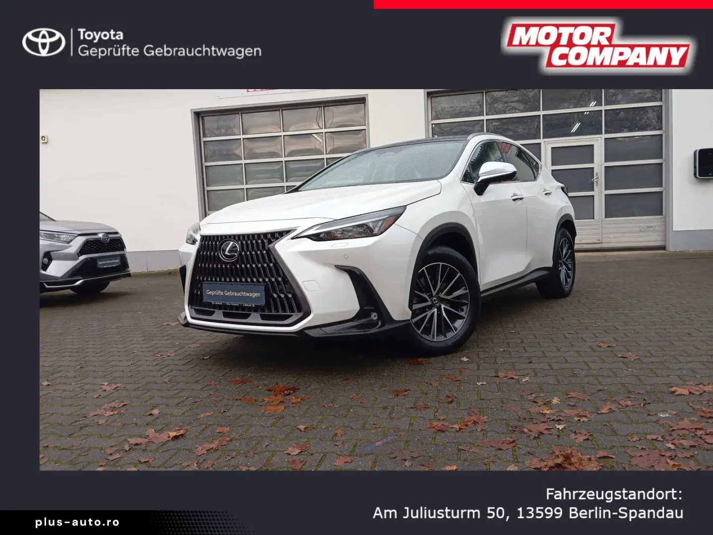 LEXUS NX 350h  Executive Line   Leder   Head-Up-Displa