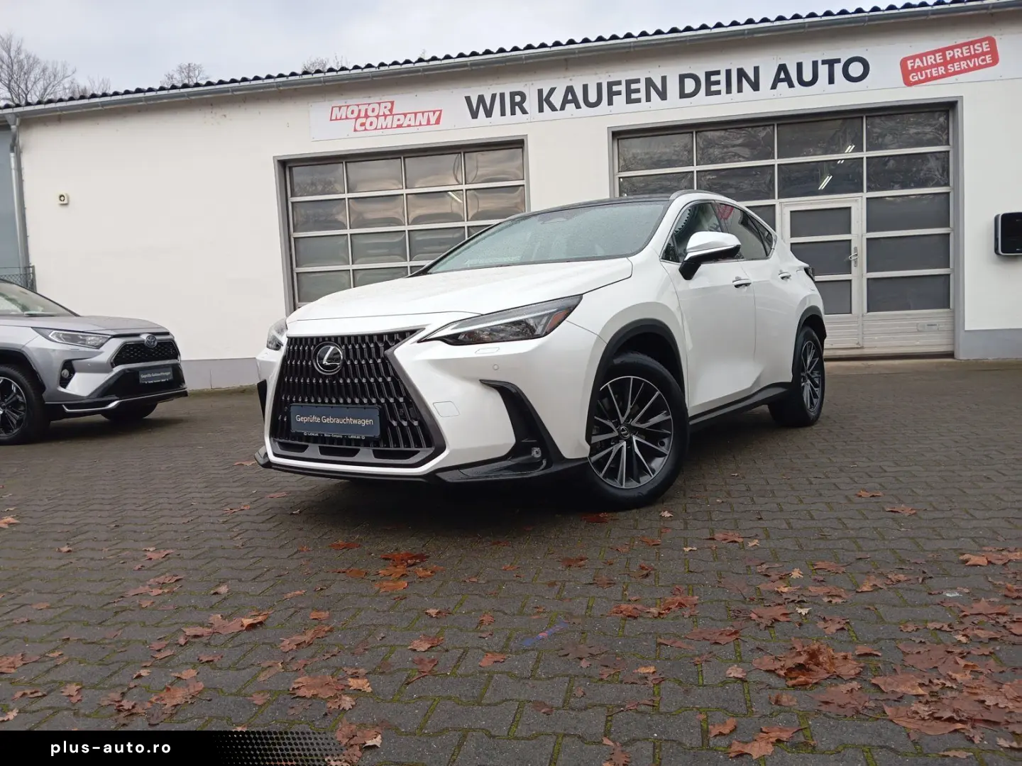 LEXUS NX 350h  Executive Line   Leder   Head-Up-Displa