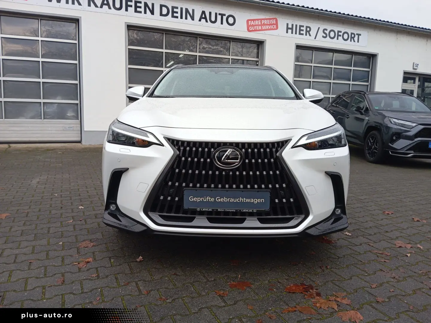 LEXUS NX 350h  Executive Line   Leder   Head-Up-Displa