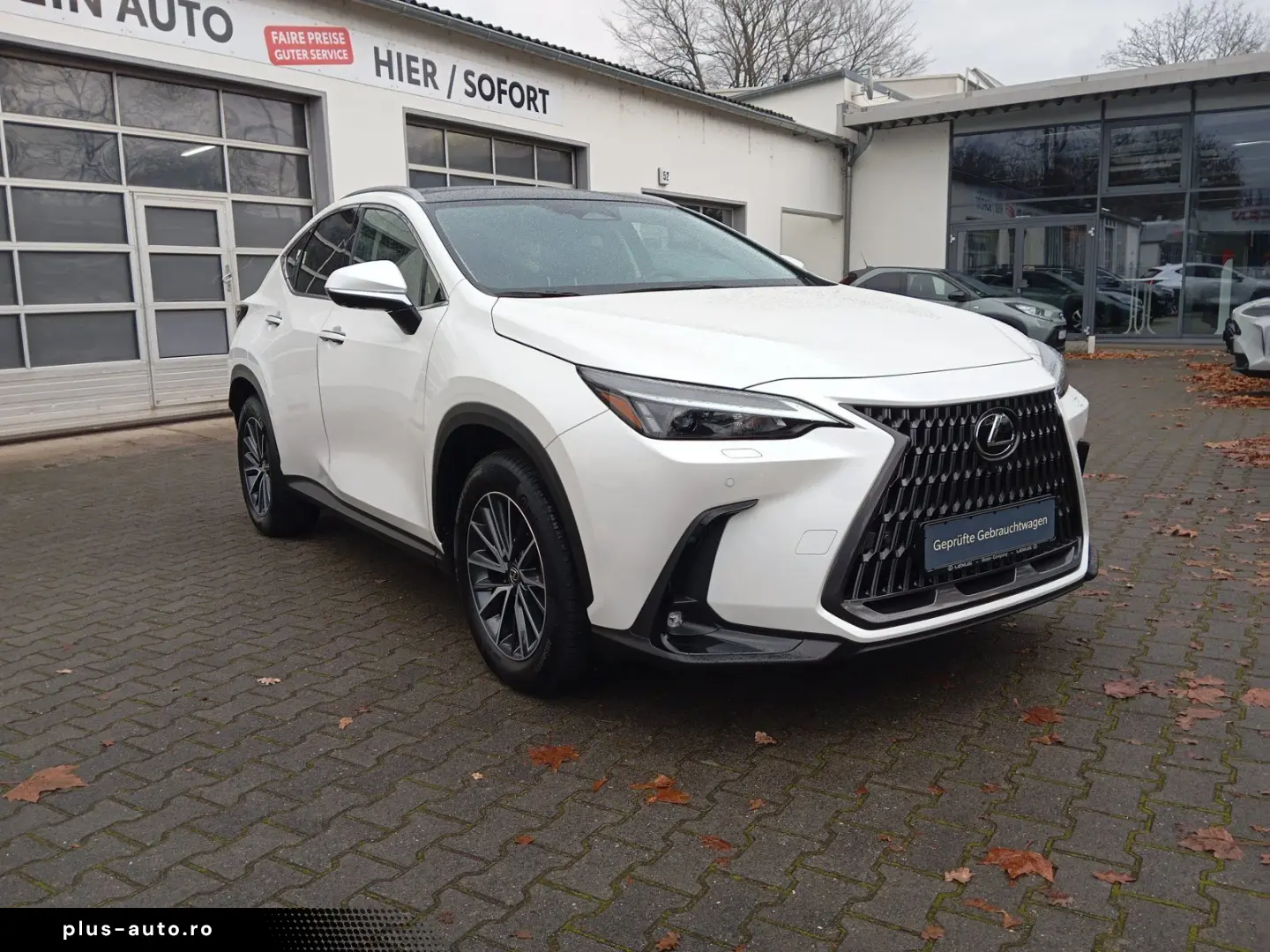 LEXUS NX 350h  Executive Line   Leder   Head-Up-Displa