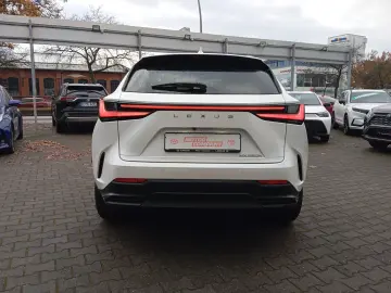 LEXUS NX 350h  Executive Line   Leder   Head-Up-Displa