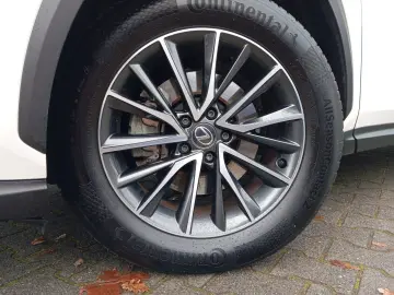 LEXUS NX 350h  Executive Line   Leder   Head-Up-Displa