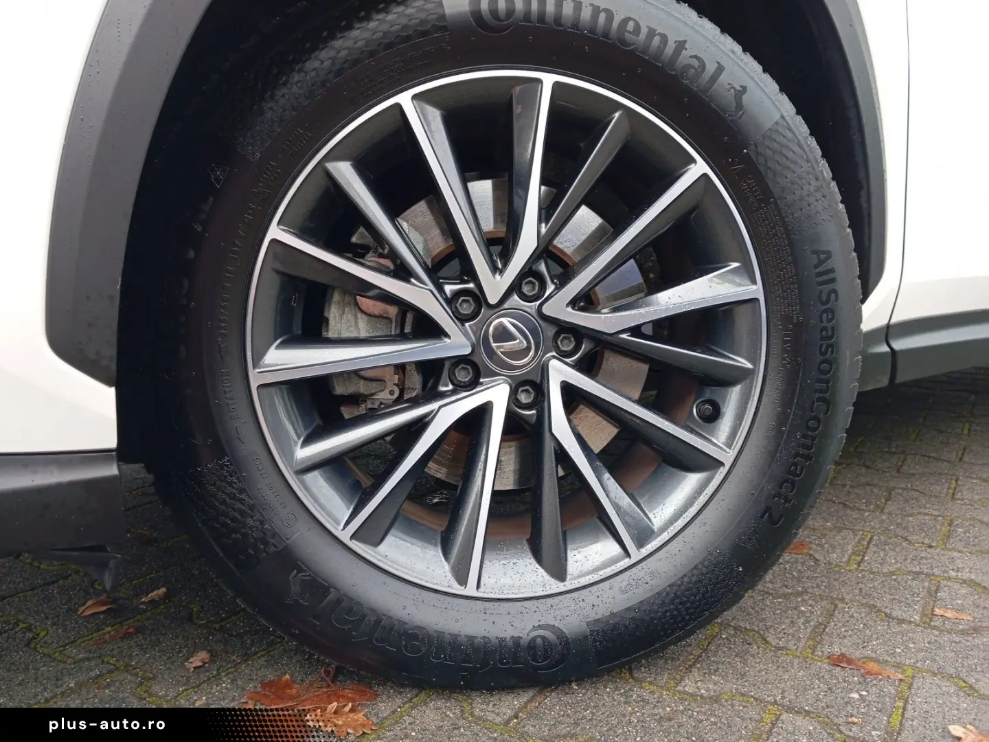 LEXUS NX 350h  Executive Line   Leder   Head-Up-Displa