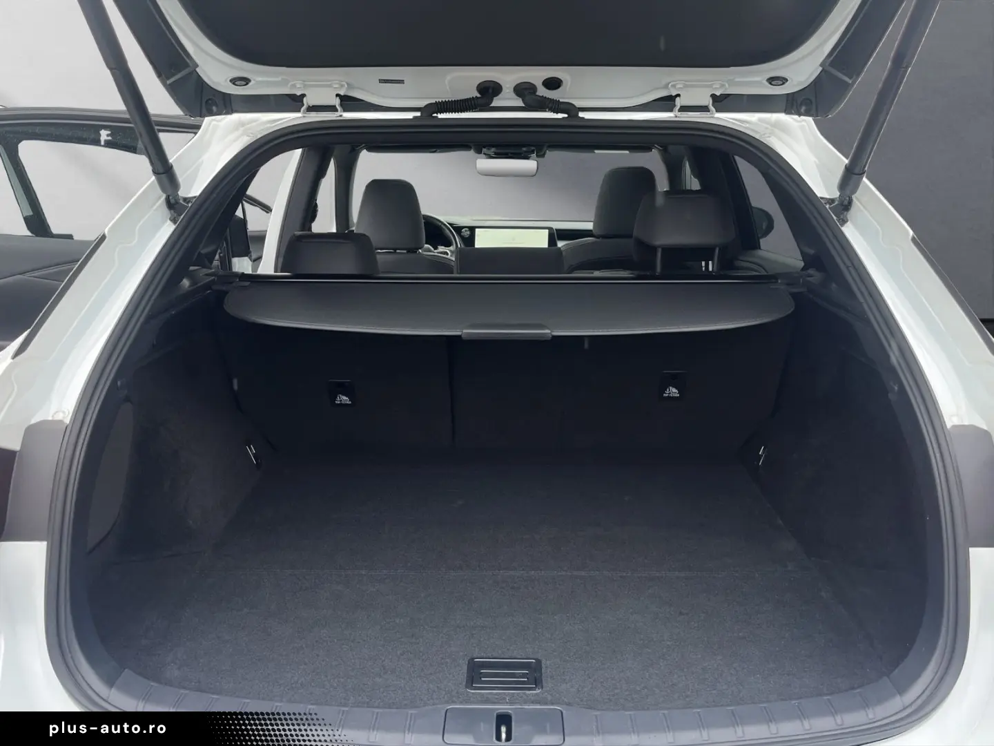 LEXUS RX 350 h E-Four F Sport Design TOP LED LEDER