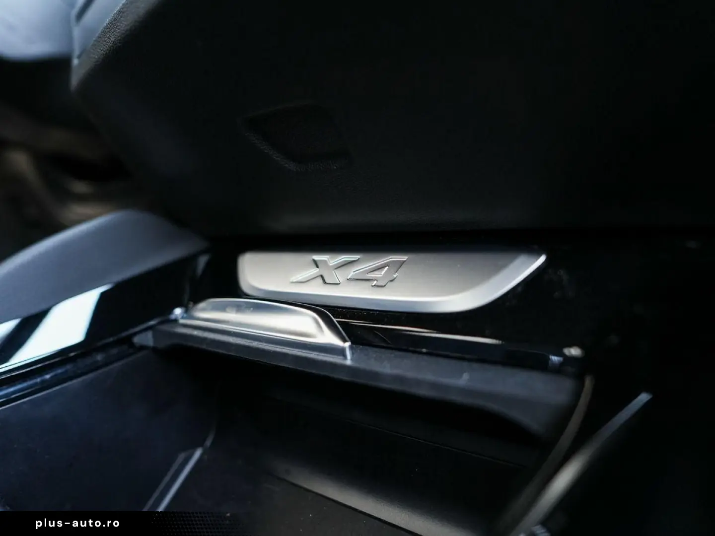 BMW X4 xDrive20i M Sport ACC AHK PanoDach LiveCoProf