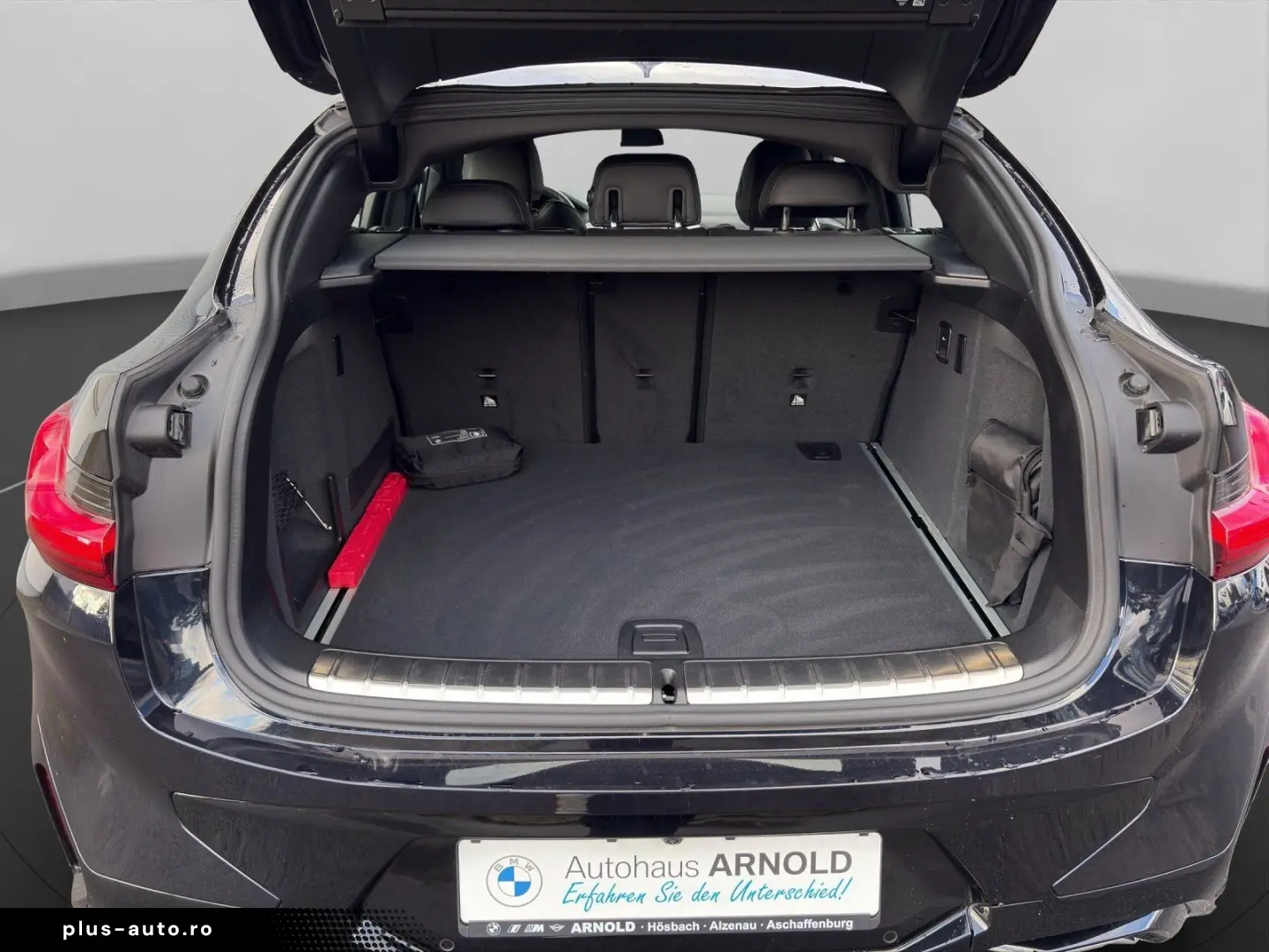 BMW X4 xDrive20i M Sportpaket Driving Assist. HiFi S