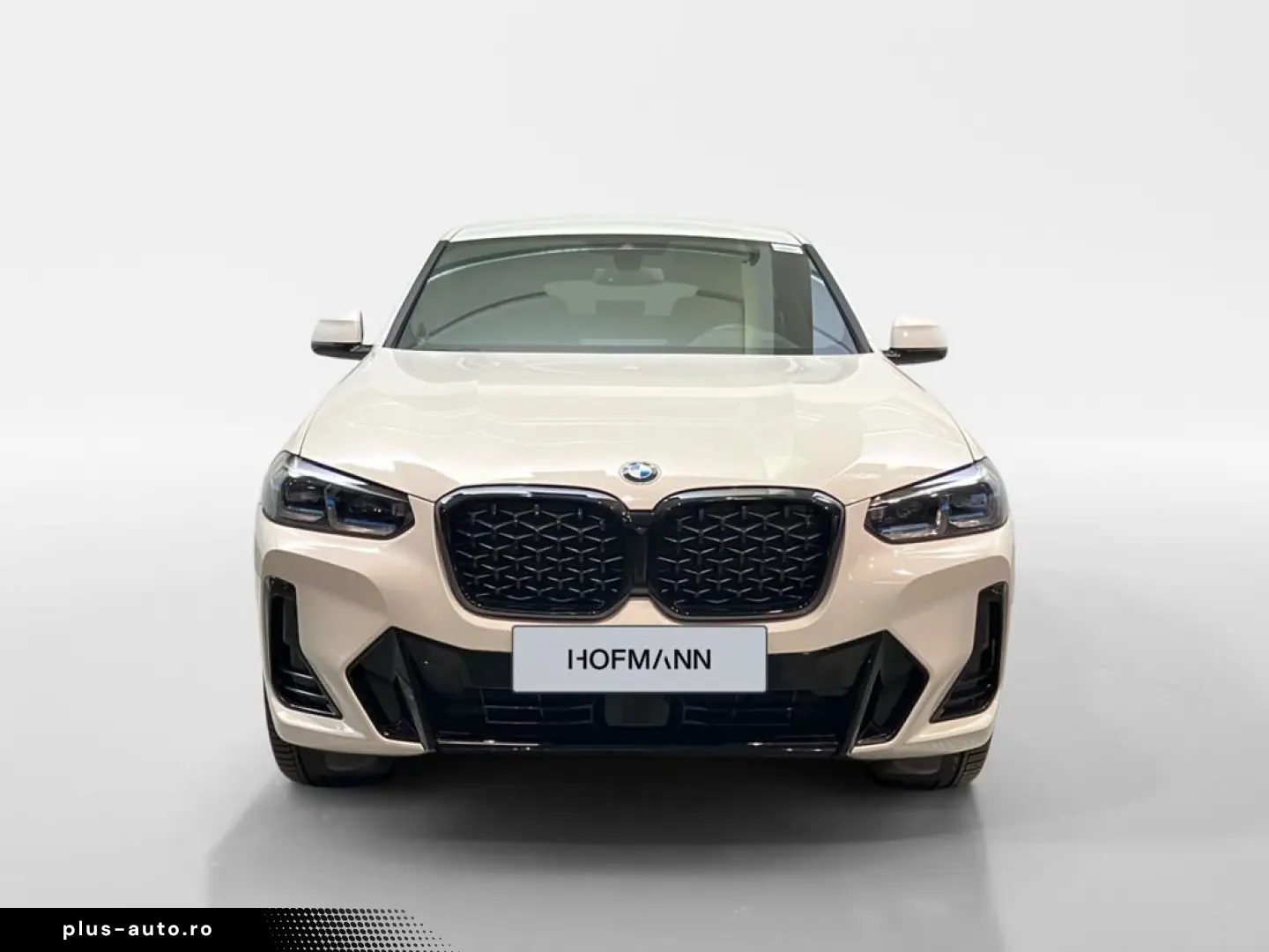 BMW X4 xDrive20i Aut M Sport AHK ACC Laser Inno HiFi