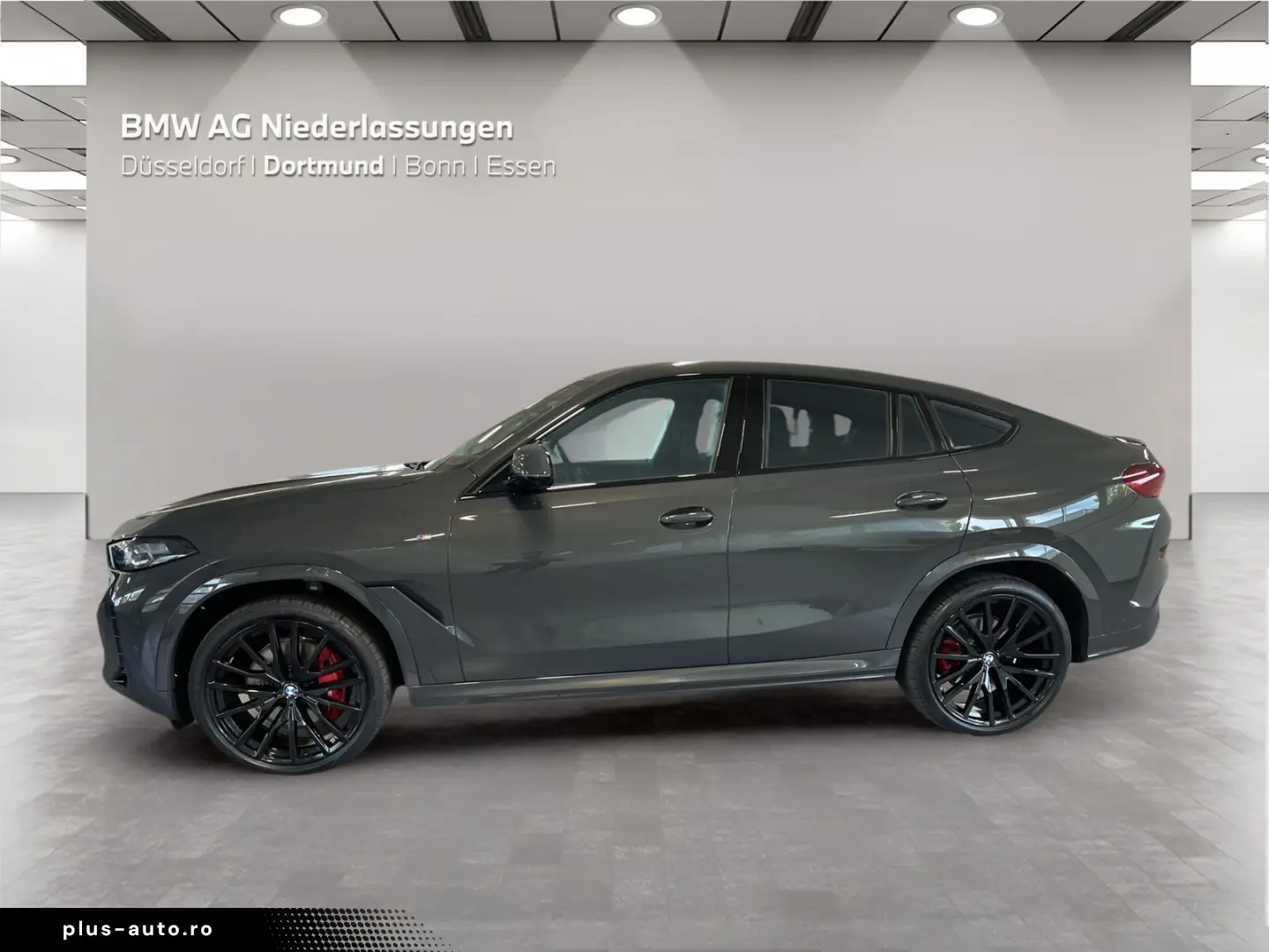 BMW X6 xDrive40d M Sport AHK Driv.Assist.Prof LED