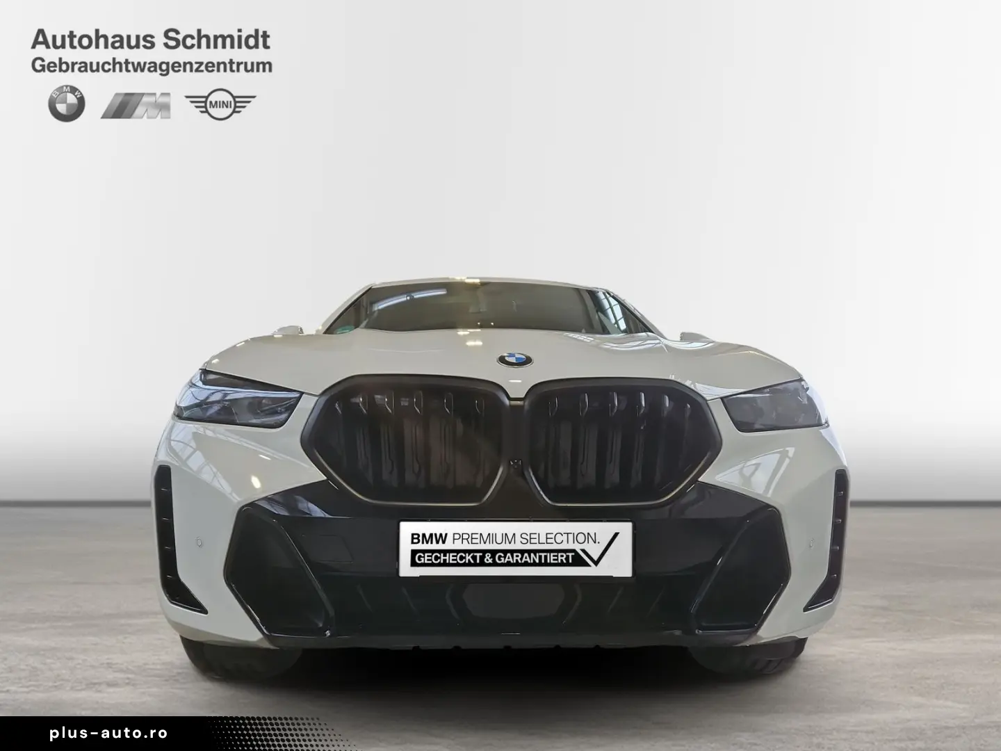 BMW X6 xDrive30d 699€ netto mtl. M Sportpaket Pro 22