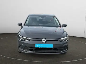 VW Golf VIII 1.0 eTSI DSG Active Navi AHK Pano