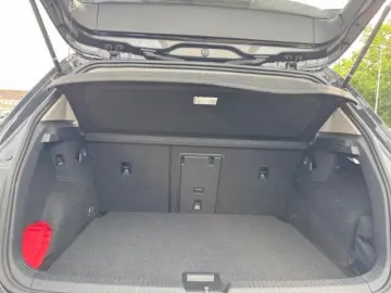 VW Golf VIII 1.0 eTSI DSG Active Navi AHK Pano
