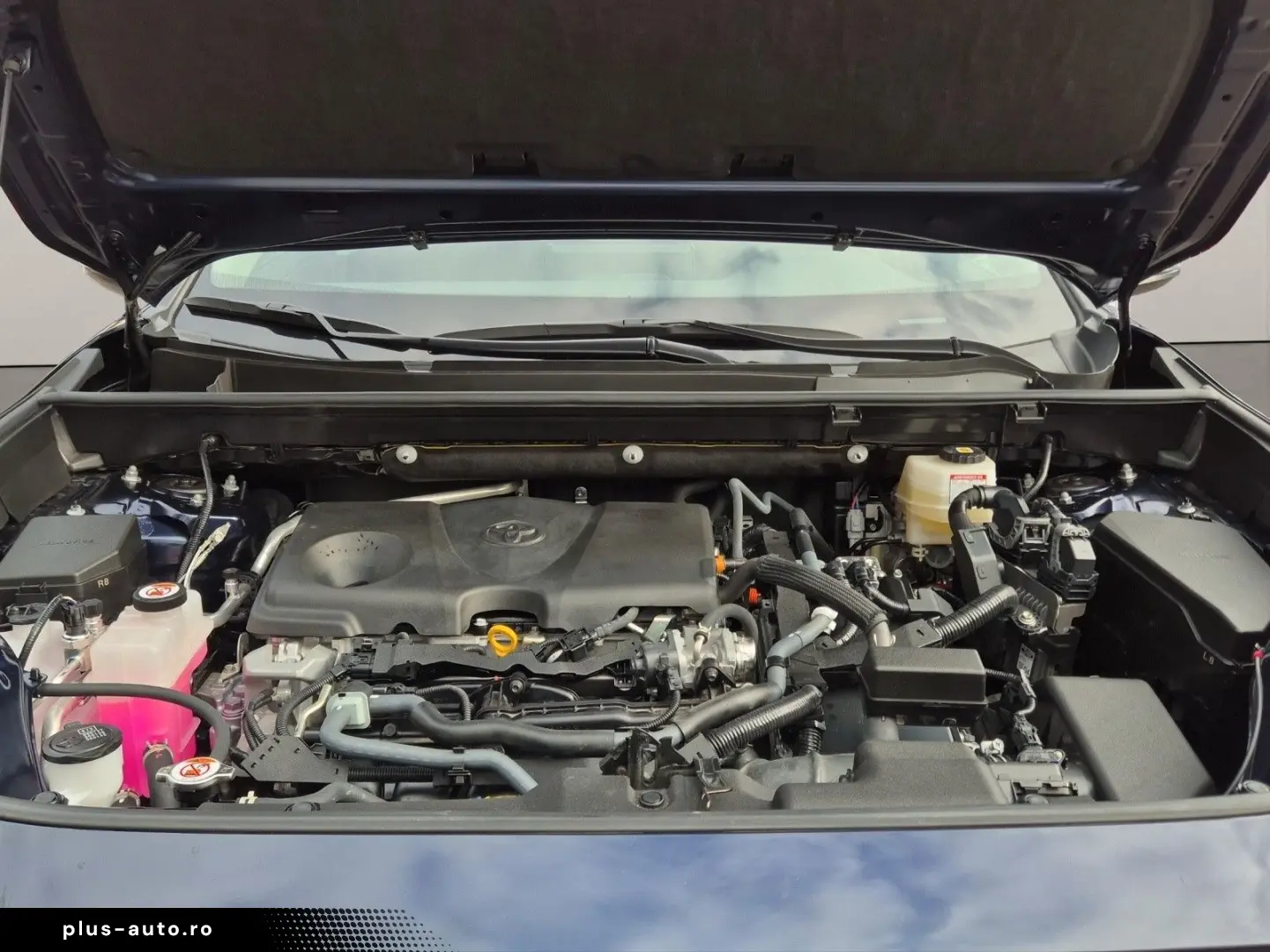 TOYOTA RAV 4 RAV4 Hybrid 4x2 Team Deutschland