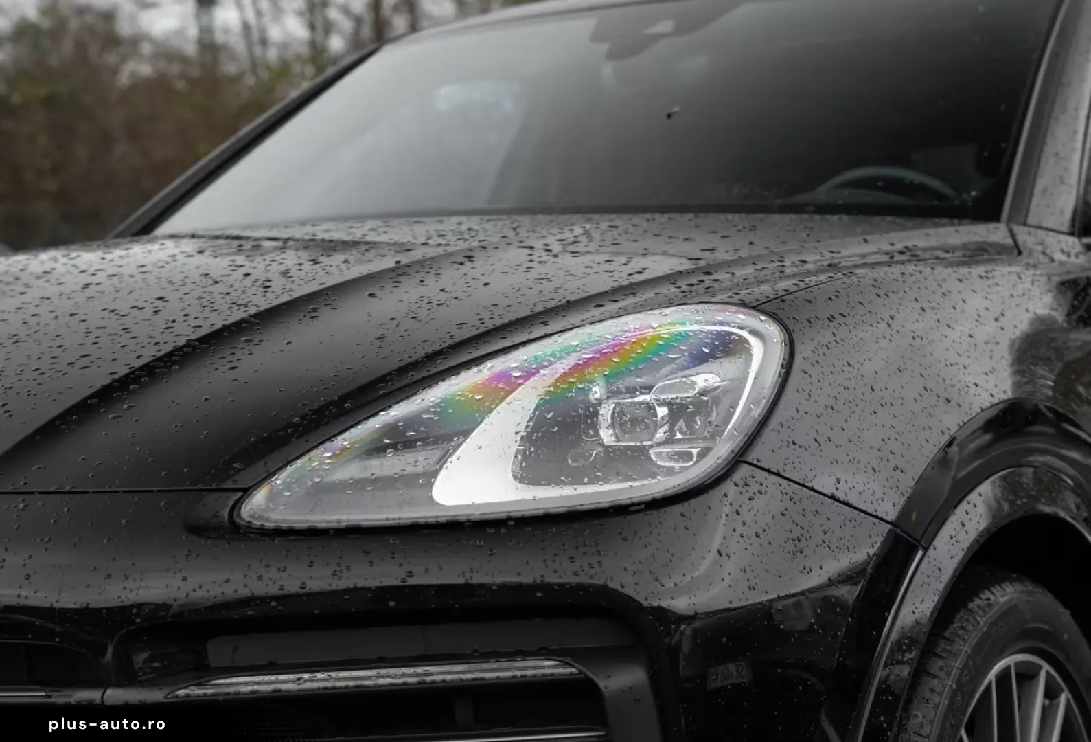 PORSCHE Cayenne Platinum Edition
