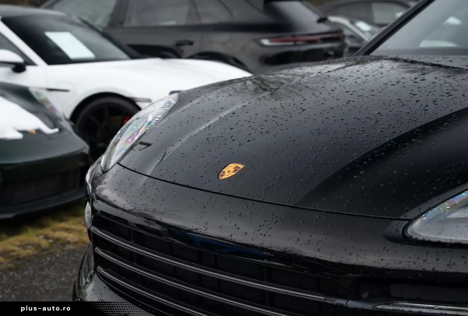 PORSCHE Cayenne Platinum Edition