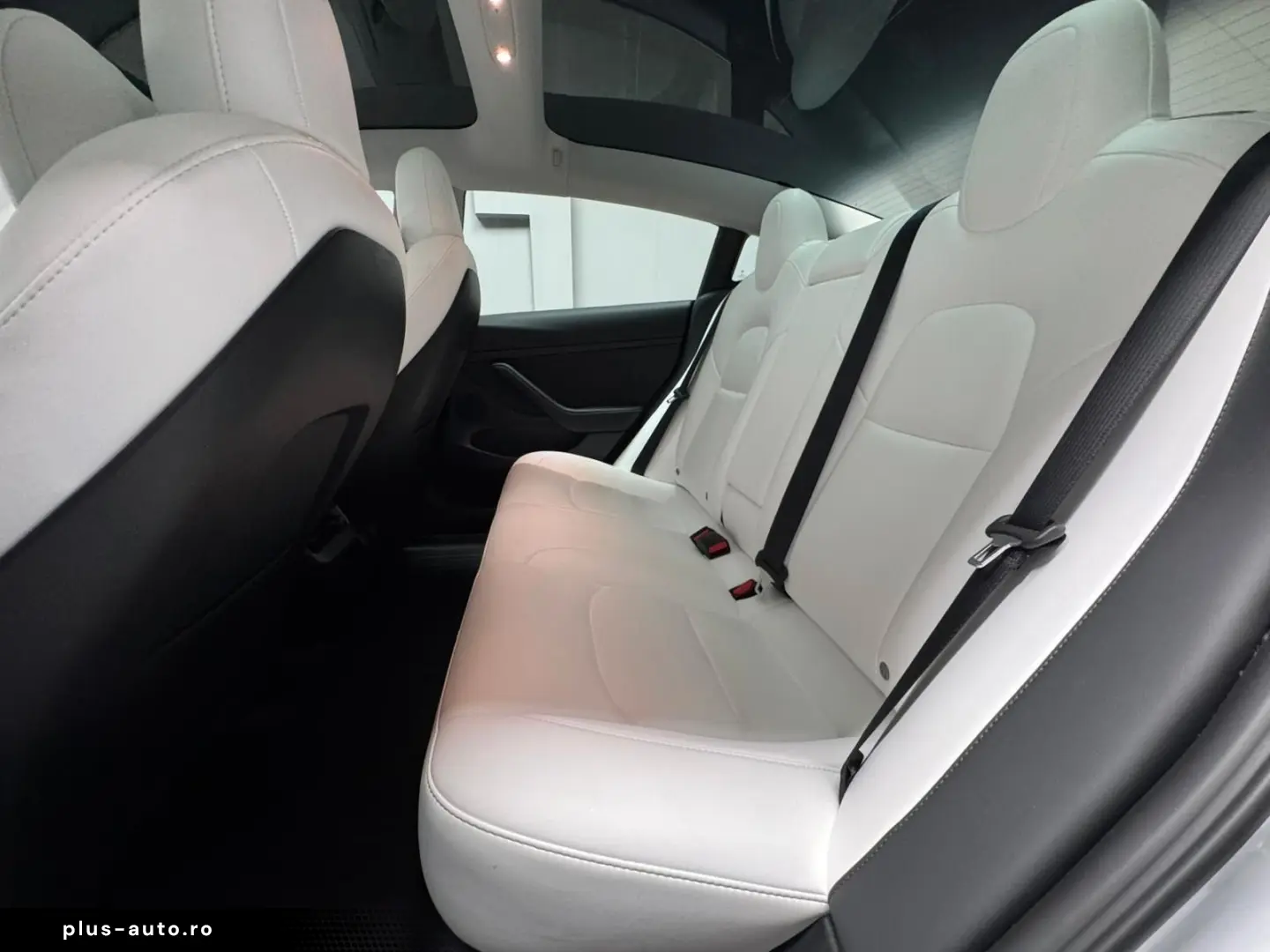 TESLA Model 3 Allradantrieb Dualmotor Performane Pano