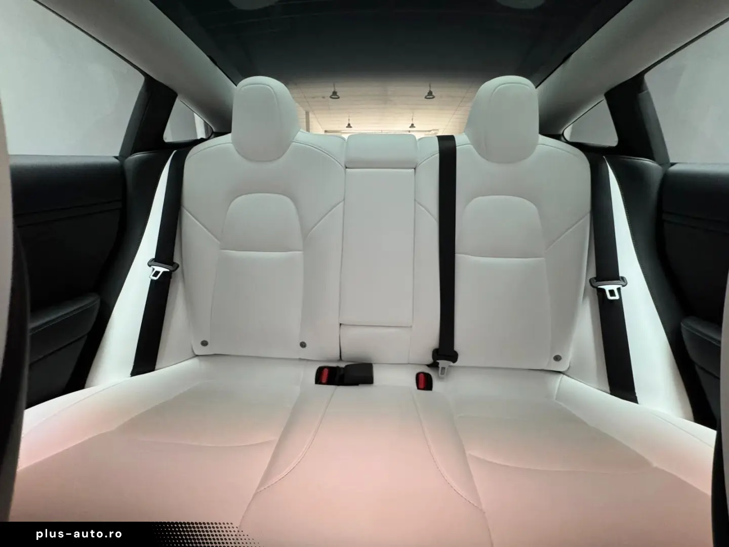 TESLA Model 3 Allradantrieb Dualmotor Performane Pano