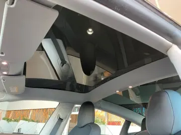 TESLA Model 3 AWD Performance Dual Motor Pano ACC 20