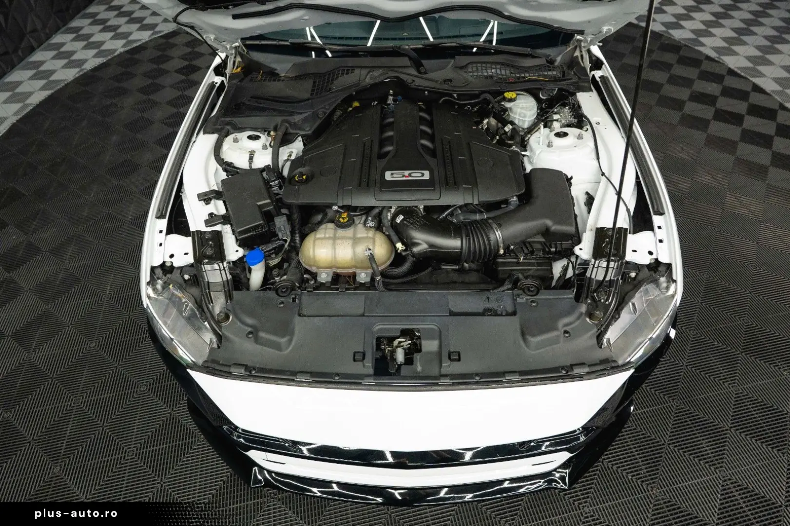 FORD Mustang Shelby GT 500 5.0 V8 Modell 2024  6Gang