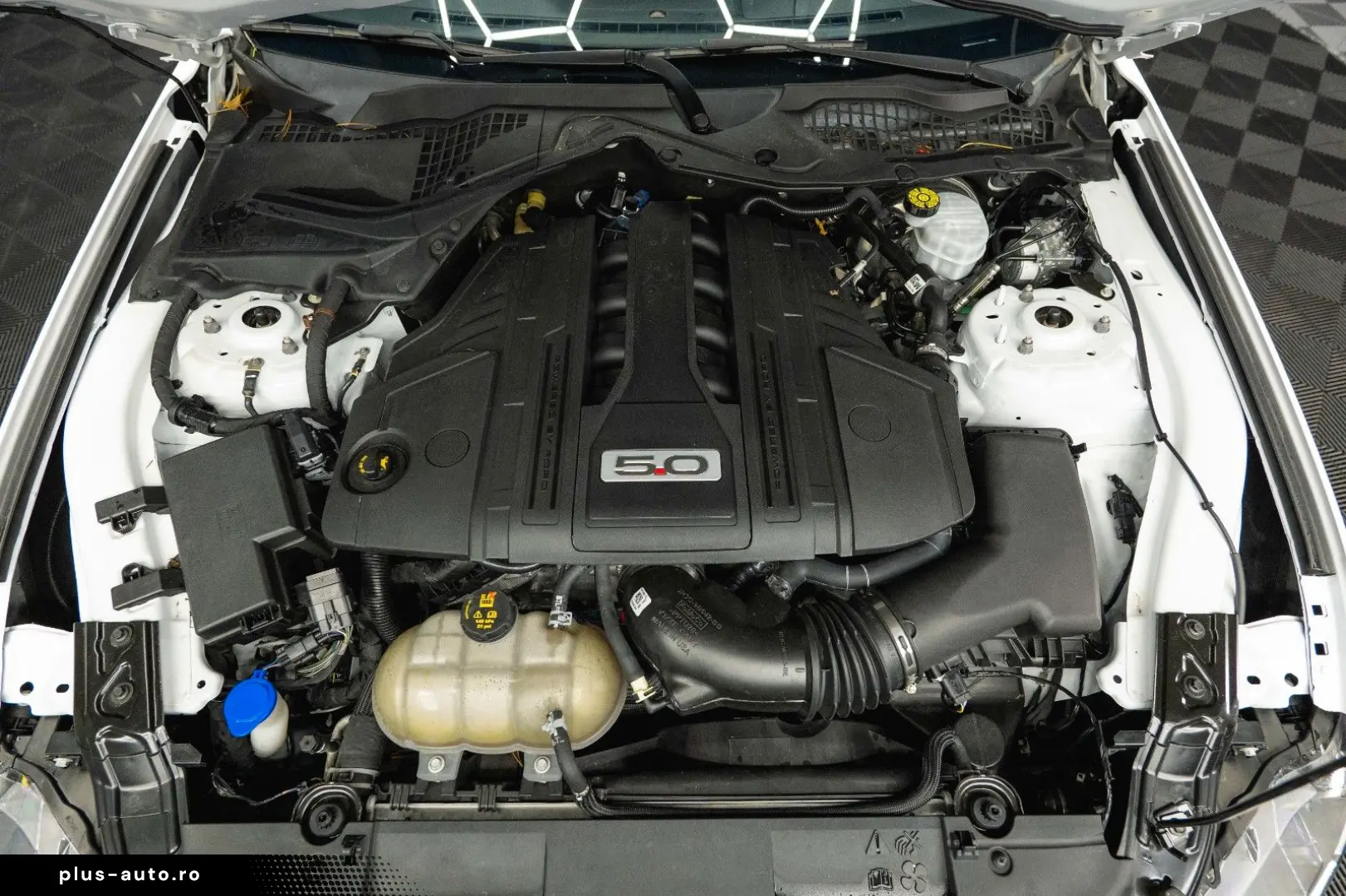 FORD Mustang Shelby GT 500 5.0 V8 Modell 2024  6Gang