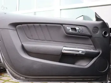 FORD Mustang 5.0 V8 GT Recaro Sitzheizung KAMERA R20