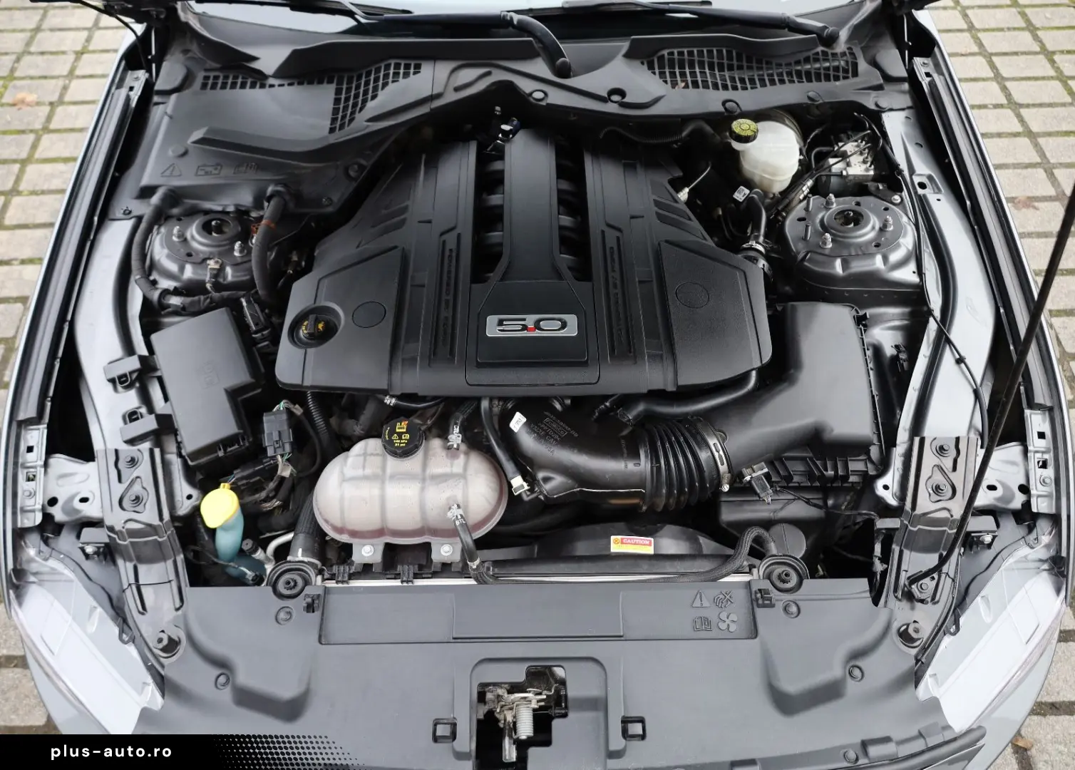 FORD Mustang 5.0 V8 GT Recaro Sitzheizung KAMERA R20