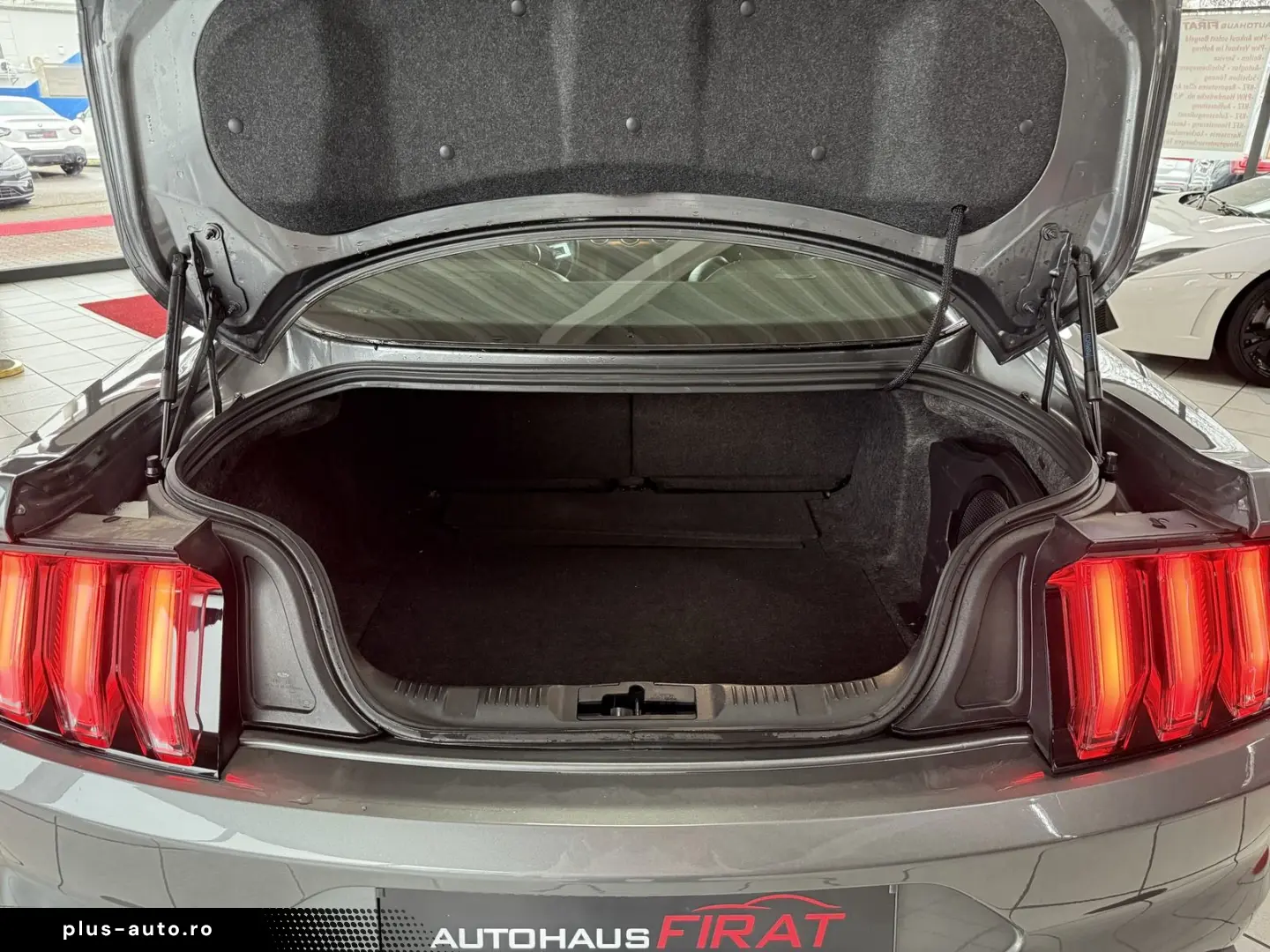 FORD Mustang GT Fastback 5.0 Liter 20 Zoll Gewindefah