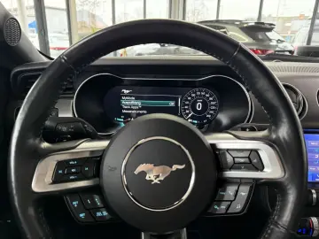 FORD Mustang GT Fastback 5.0 Liter 20 Zoll Gewindefah