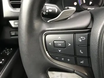 LEXUS UX300e BUSINESS