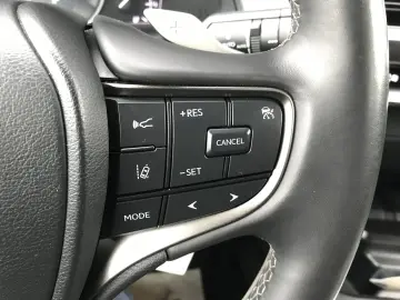 LEXUS UX300e BUSINESS