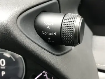 LEXUS UX300e BUSINESS