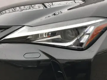 LEXUS UX300e BUSINESS