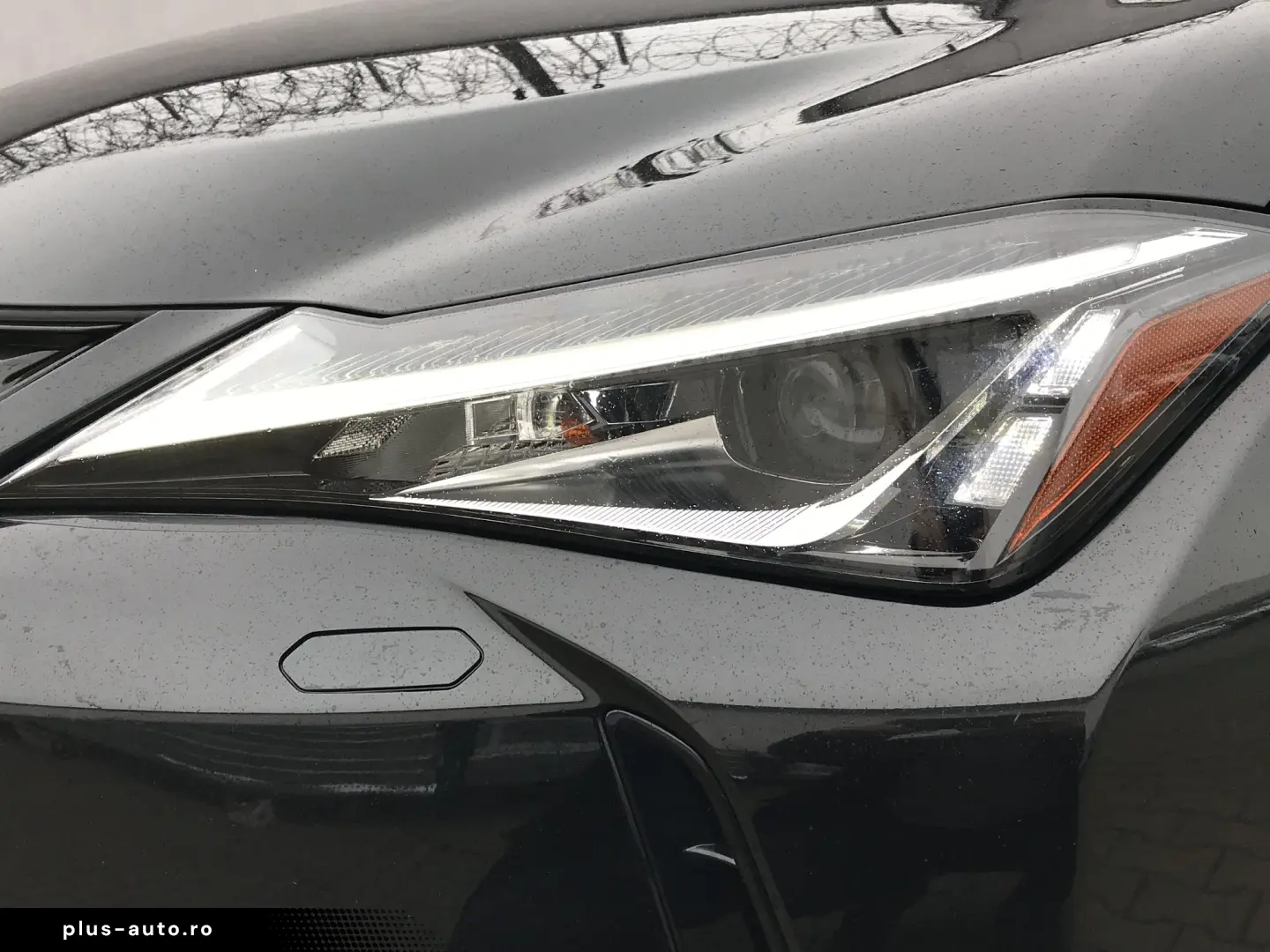 LEXUS UX300e BUSINESS