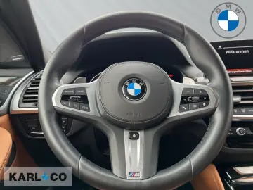 BMW X4 xDrive 30i M-Sport Laser H&K 360 Grad  Memory