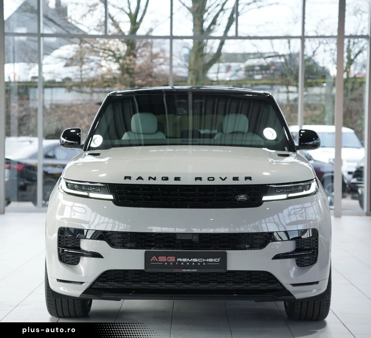 LAND ROVER Range Rover Sport Dynamic SE D250  1.H  23 Zoll