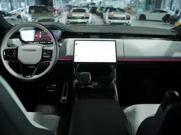 LAND ROVER Range Rover Sport Dynamic SE D250  1.H  23 Zoll