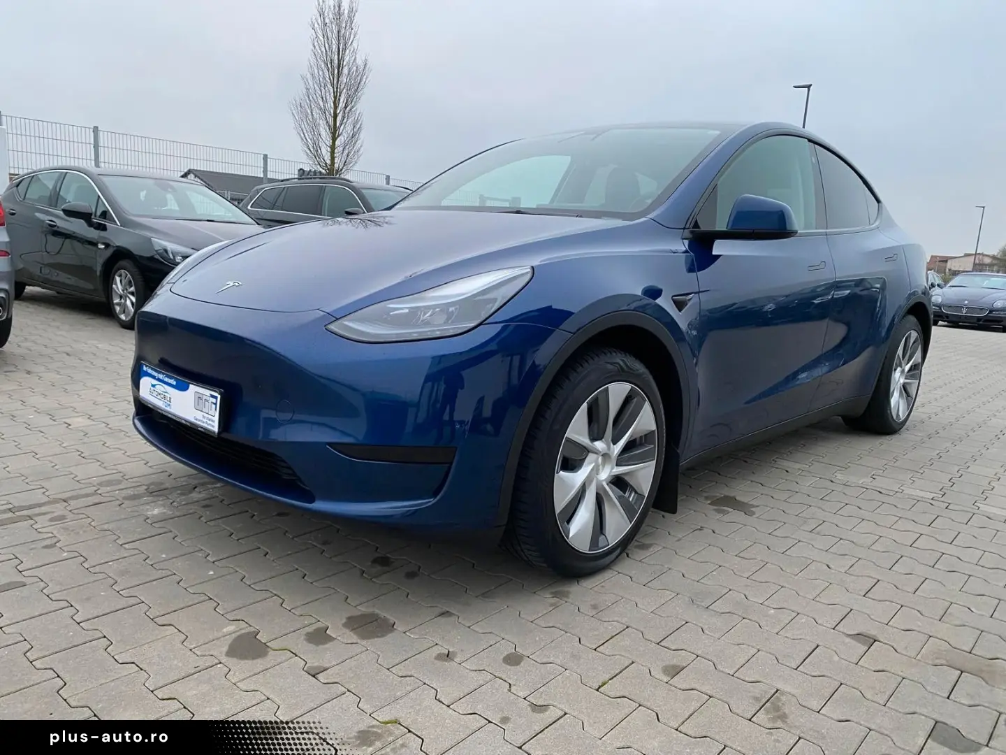 TESLA Model Y Basis RWD