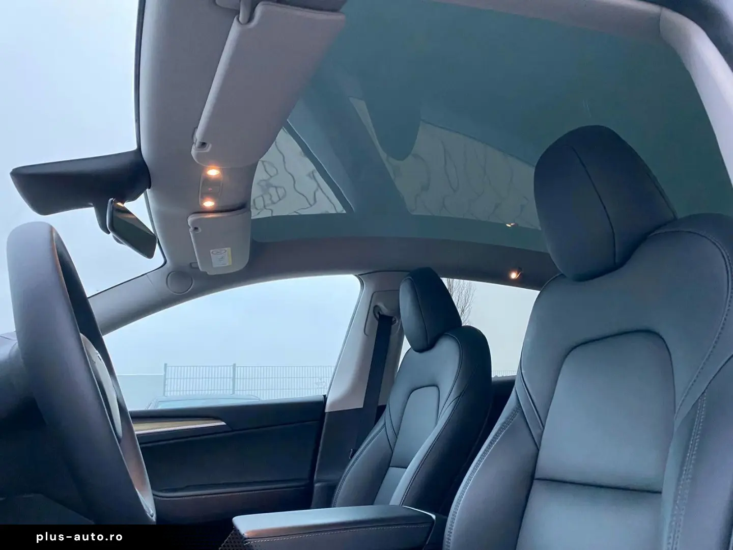 TESLA Model Y Basis RWD