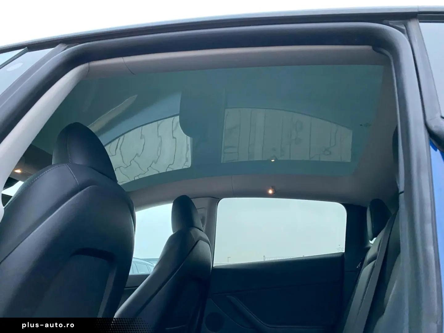 TESLA Model Y Basis RWD