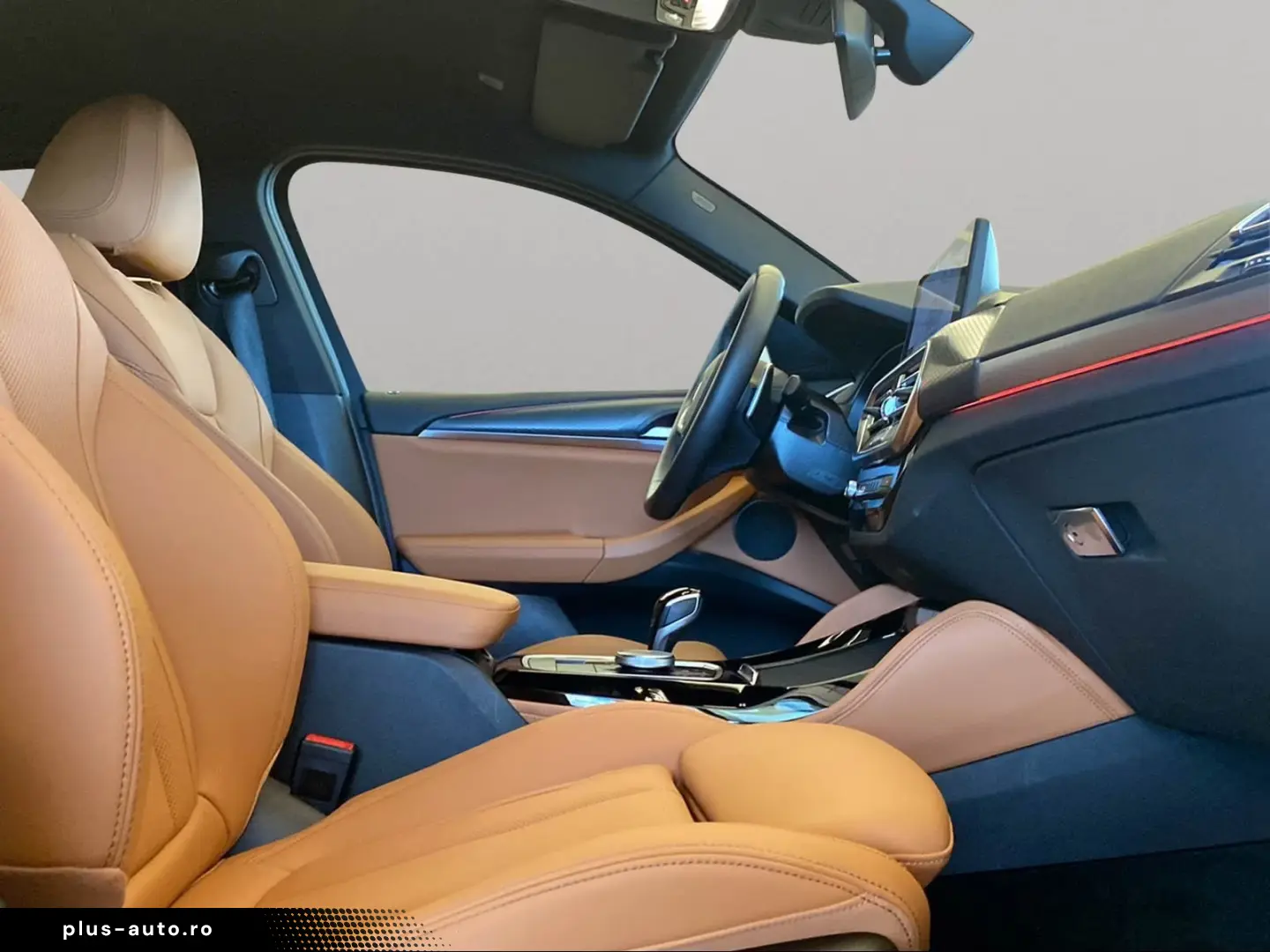 BMW X4xDrive20d M Sport Navi AHK Kamera