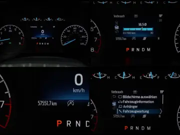 FORD F 150 RAPTOR Suche nach wunsch