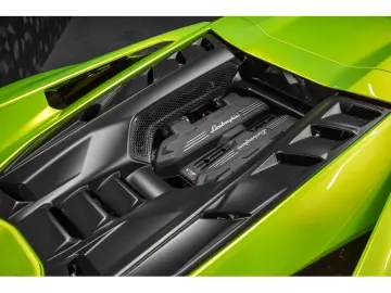 LAMBORGHINI Revuelto AD PERSONAM - VERDE CITREA   ROSSO MARS
