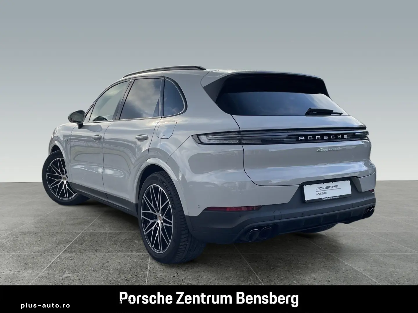 PORSCHE Cayenne S E-Hybrid SportAbgas AHK RearEnt 18Wege