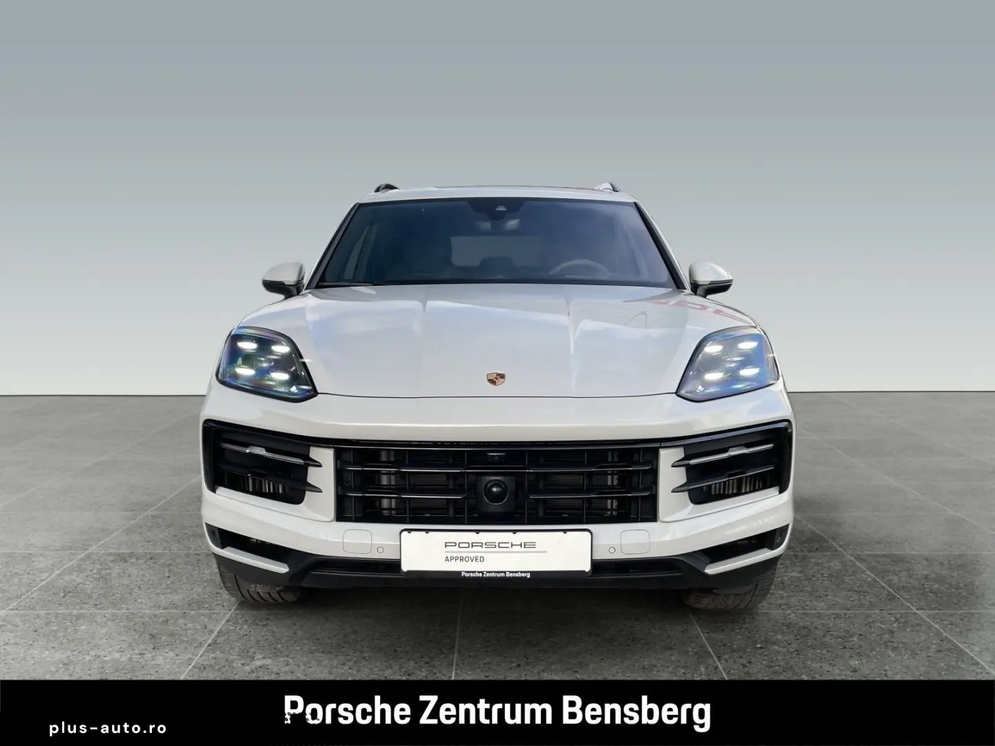 PORSCHE Cayenne S E-Hybrid SportAbgas AHK RearEnt 18Wege