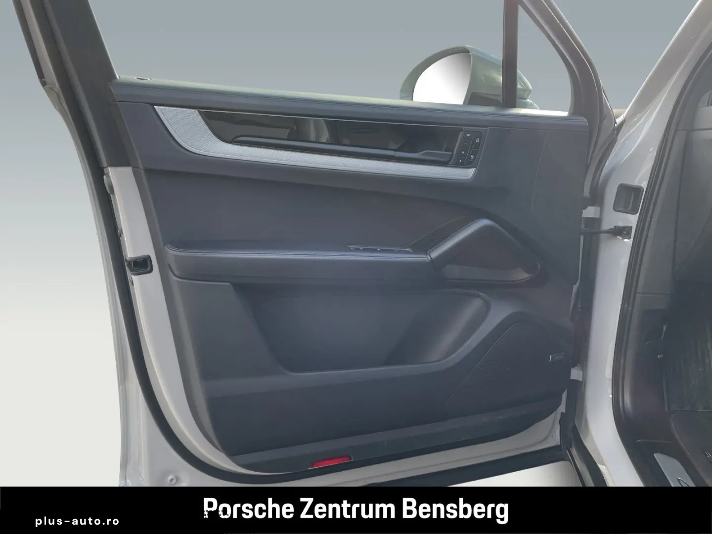 PORSCHE Cayenne S E-Hybrid SportAbgas AHK RearEnt 18Wege