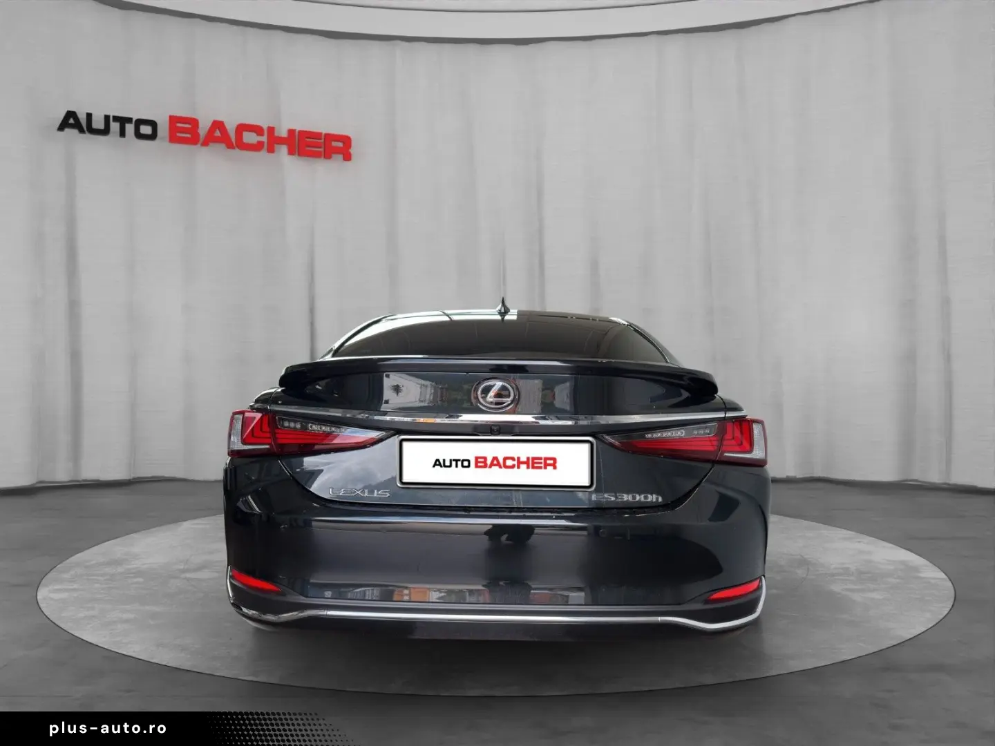 LEXUS ES 300h Business   8-Fach bereift