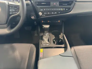 LEXUS ES 300h Business   8-Fach bereift