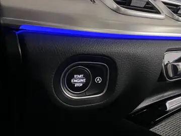 MERCEDES-BENZ GLE 300 d 4Matic